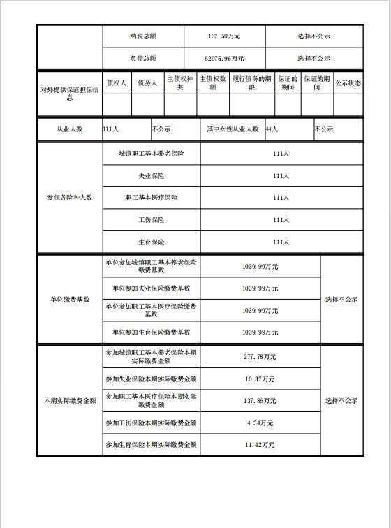 2023年度企業(yè)年度報(bào)告書2.jpg